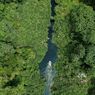 Perbaiki Hutan Rawa Gambut, Restorasi Ekosistem Riau Catat Kemajuan Signifikan