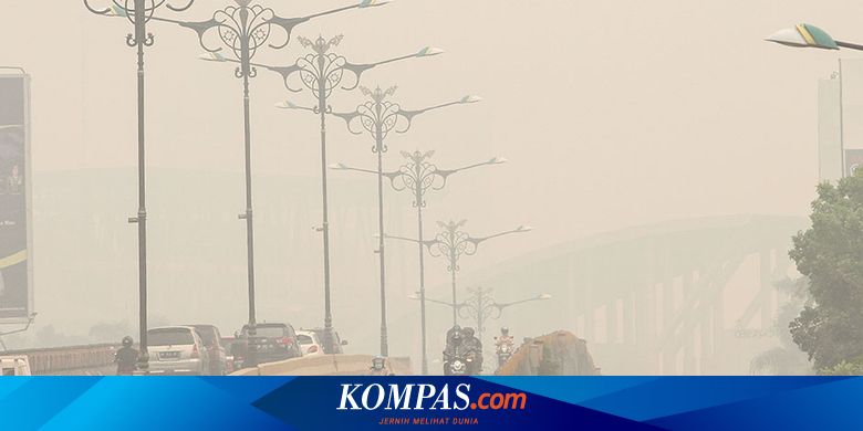 Riau Dikepung Kabut Asap Greenpeace Ini Indikasi Kegagalan Pemerintah Halaman All Kompas Com
