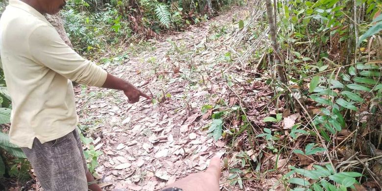 Bokep Di Perkosa Di Hutan - Susul Ibu ke Kebun, Bocah 10 Tahun Malah Dibunuh lalu Diperkosa