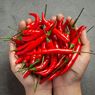 Benarkah Cabai Dapat Membantu Menurunkan Berat Badan?