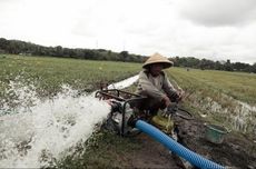 Kementan Hibahkan Bantuan Irigasi Perpompaan untuk Petani Lampung Selatan
