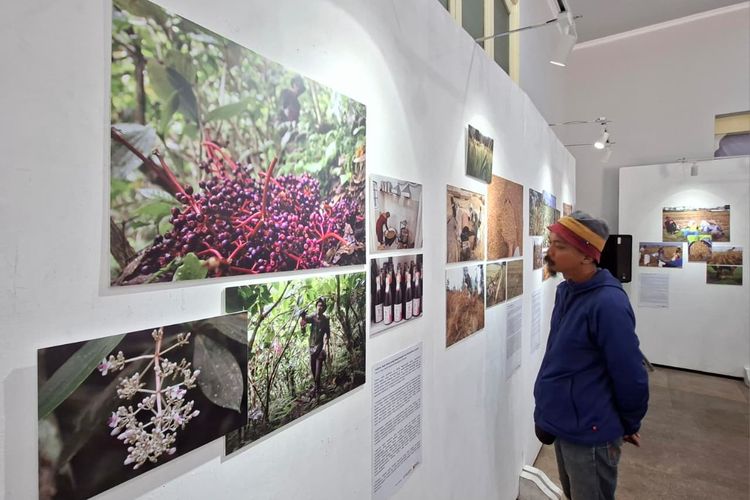 Pameran “Tanah, Pangan dan Harapan” Ajak Publik Melihat Cerita di Balik Sepiring Makanan