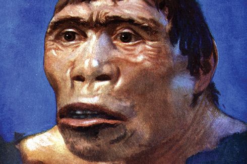 Mengapa Penemuan Dubois di Trinil Disebut Pithecanthropus Erectus?