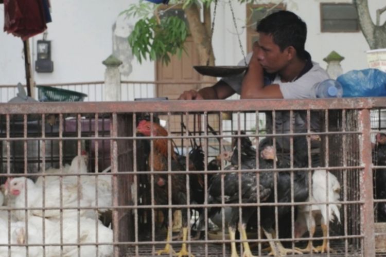 Salah satu penjual ayam potong di Kota Pekanbaru, Riau.