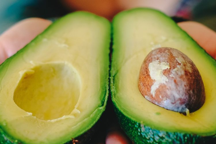 Ilustrasi alpukat, buah alpukat. 