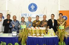 IPB Rilis Inovasi Berbasis AI untuk Tingkatkan Ketahanan Pangan