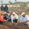 Gandeng BRIN, Mbak Ita Tanam Bawang Merah Lokananta dengan Potensi Panen 20 Ton Per Ha