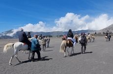 Tarif Sewa Kuda ke Kawah Gunung Bromo, Tak Perlu Jalan Jauh