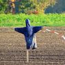 Warga Desa di Kamboja Percaya Orang-orangan Sawah Bisa Tangkal Covid-19