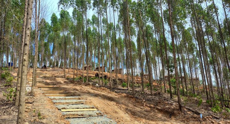 Besok, Jokowi Diagendakan Tinjau Pembangunan di IKN Nusantara