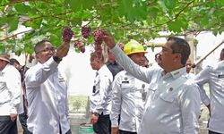 Dukung Asta Cita Presiden, Kementerian Imipas Resmikan Program Ketahanan Pangan Nusakambangan