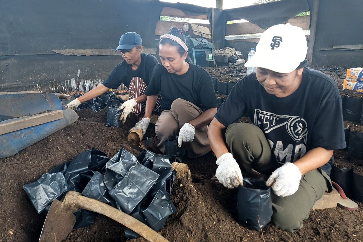 Sejumlah pekerja pembibitan pohon sedang mengisi polybag dengan media tanam