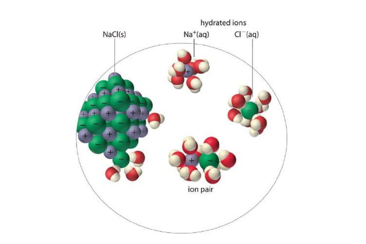 Kation (Na+) dan anion (Cl-) yang membentuk garam NaCl