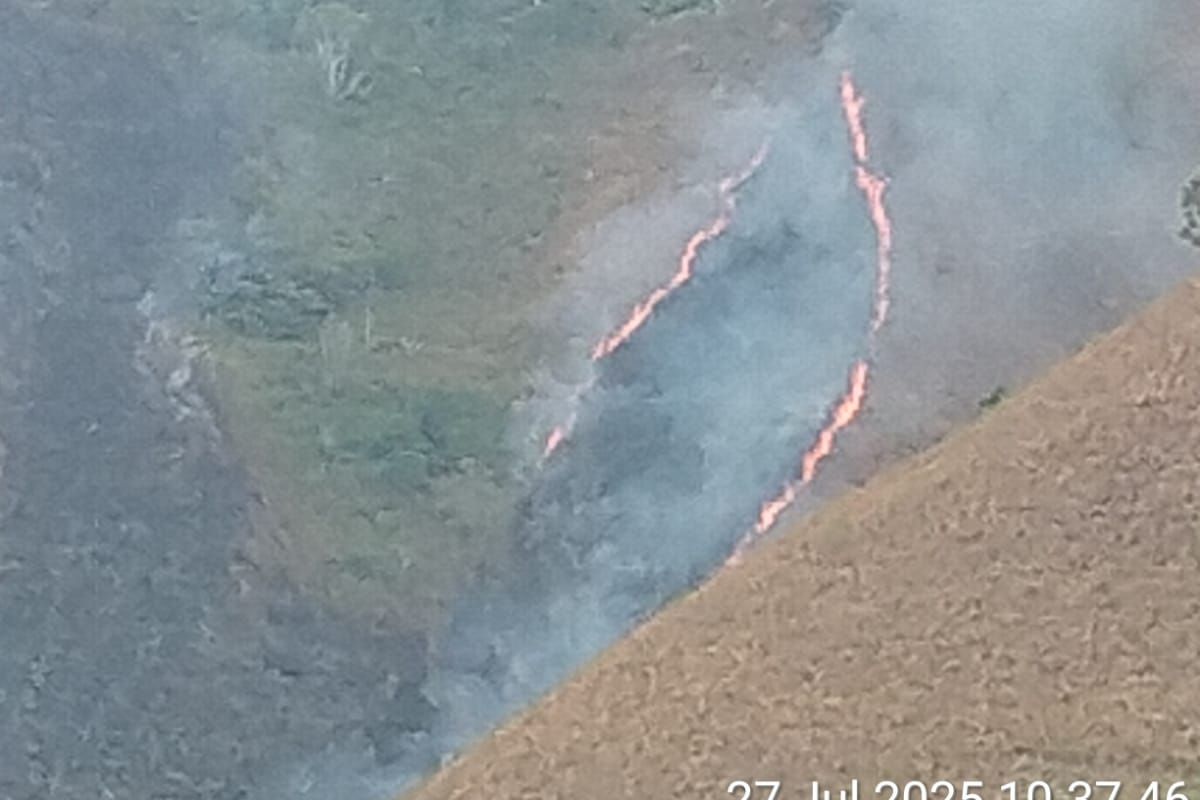  Petugas gabungan saat memadamkan api yang membakar lahan hutan di Desa Boho, Kecamatan Sianjur Mula-mula, Kabupaten Samosir, Sumatera Utara, Minggu (27/7/2025)  