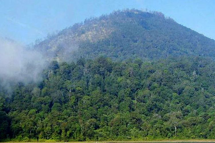 Gunung Argopuro yang dikenal sebagai pemilik trek terpanjang di Pulau Jawa.