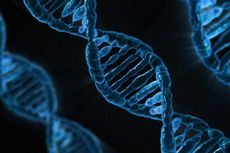 Soal UAS Biologi: Pengertian, Struktur, dan Susunan DNA