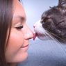 Mengenal Efek Gigitan Kutu Kucing pada Manusia dan Cara Mengobatinya