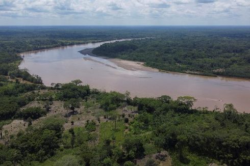 Pakar IPB: Penyebab Rusaknya Hutan Amazon karena Ulah Manusia