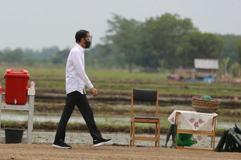 Mengenal Proyek Sawah yang Dikunjungi Jokowi Saat Puncak Demo