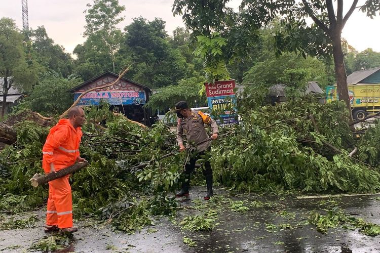 Petugas Gabungan Saat Membersihkan Pohon Tumbang di Jalan Raya Suramadu, pada Senin (27/12/2021) kemarin.