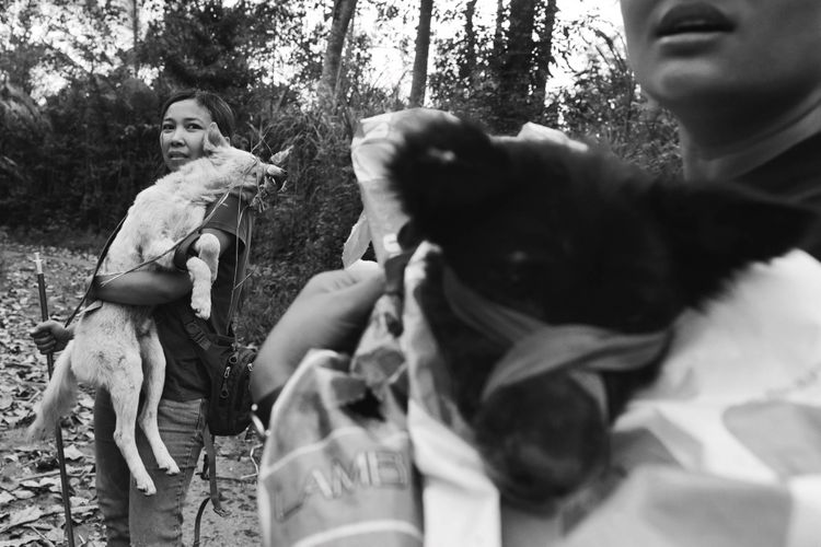 Relawan menggendong anjing yang dievakuasi dari zona bahaya Gunung Agung di Sebudi, Karangasem, Bali, Sabtu (9/12/2017). 