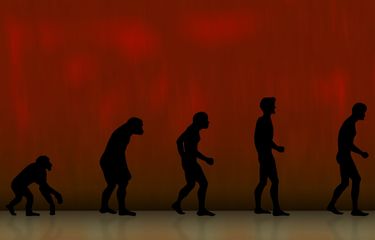 Ilustrasi teori evolusi manusia purba dan teori evolusi Charles Darwin.