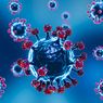 Virus Pandemi Bisa Menular ke Manusia Tanpa Adaptasi Awal