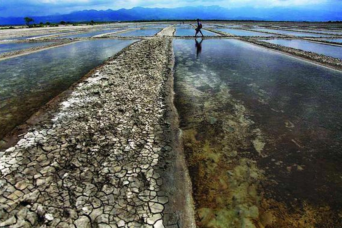 Petani garam melintas di lahan tambak yang tidak beroperasi selama musim hujan di Kampung Tainetan, Kelurahan Merdeka, Kecamatan Kupang Timur, Kabupaten Kupang, Nusa Tenggara Timur, Jumat (11/2). Lokasi ini merupakan salah satu pusat tambak garam di NTT, selain Kabupaten Nagekeo dan Kabupaten Ende.