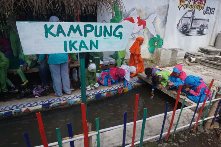 Ada ribuan ikan jenis Koi, Nila, dan Tombro yang dipelihara masyarakat Desa Jajag di selokan saluran irigasi desa.