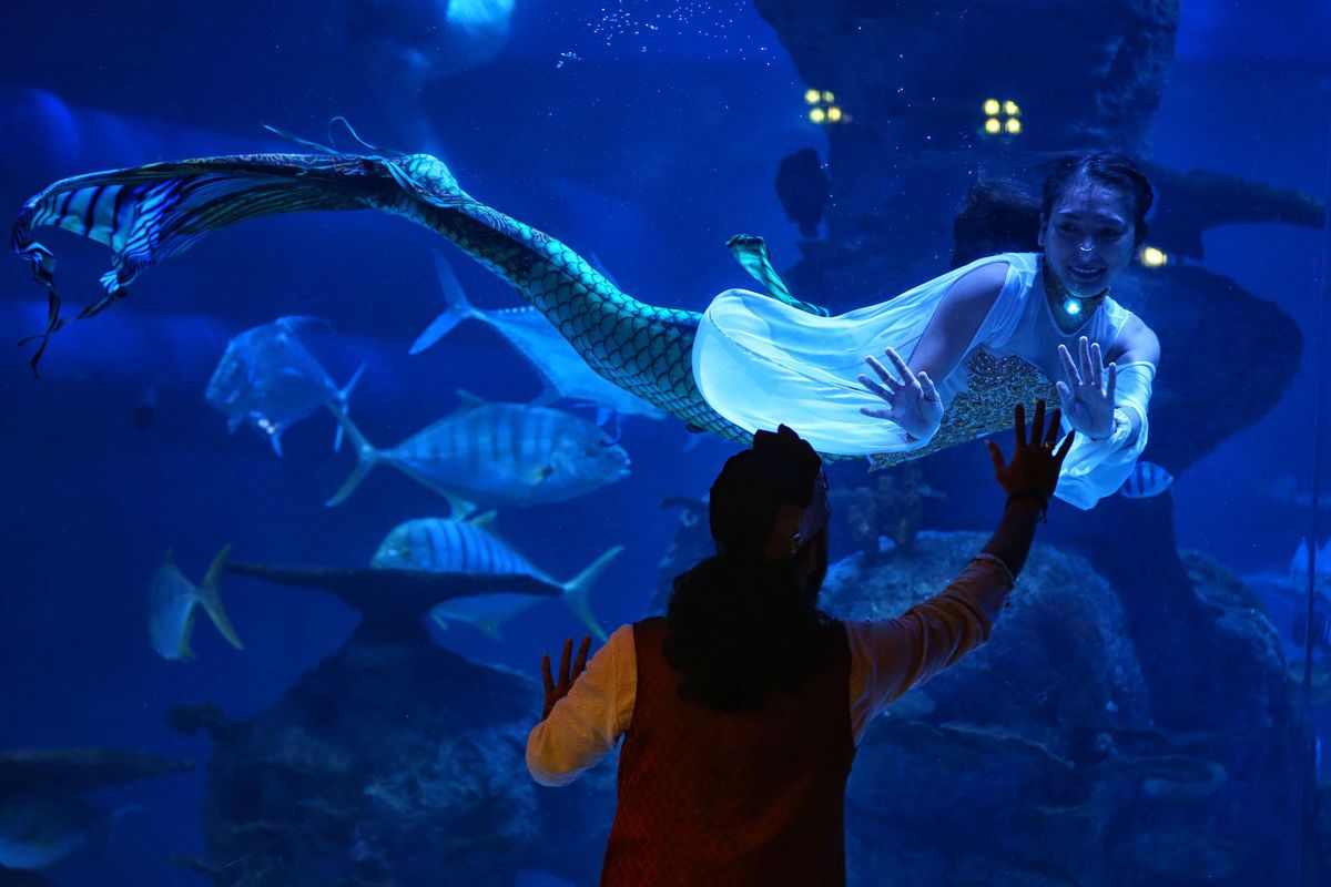 Pertunjukan teater berjudul Pearl of The South Sea di wisata Jakarta Aquarium pada akhir pekan, Sabtu (24/11/2018). Destinasi wisata baru di pusat perbelanjaan NeoSoho, Jakarta Barat, ini menampilkan 600 satwa air dan darat dari Asia Pasifik.