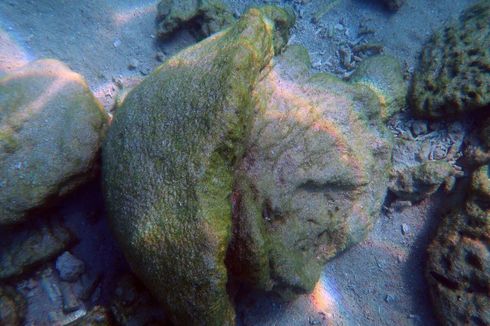 Pasca-badai Seroja, Terumbu Karang di Taman Nasional Perairan Laut Sawu Rusak