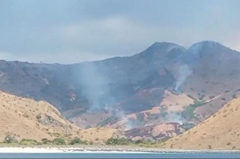 Sabana di Pulau Komodo NTT Terbakar, Fasilitas Wisata dan Komodo Aman