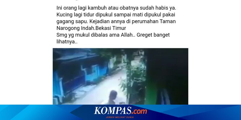 Kucing Pecinta Bekasi Komunitas