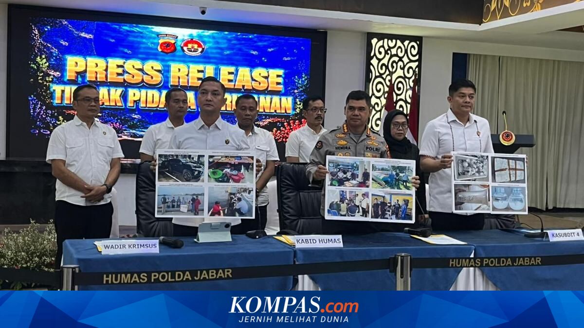 Polda Jabar Bongkar Jaringan Benih Lobster Ilegal di Pangandaran, 4 Tersangka Ditangkap