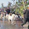 More People Flee after Eruption of Indonesia's Mount Semeru