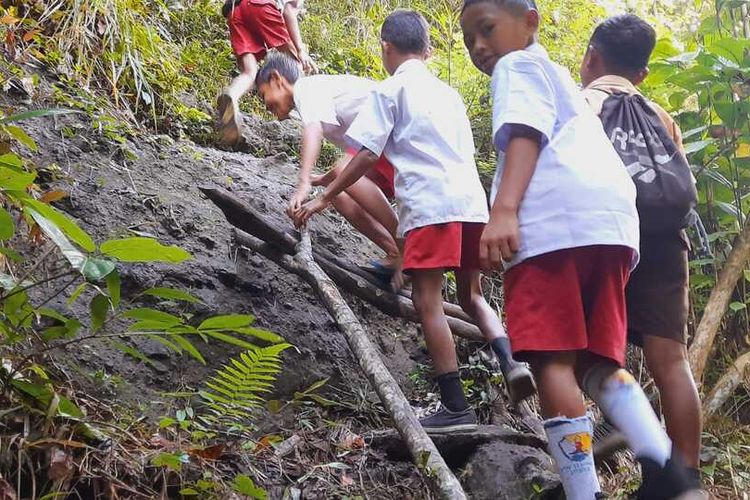 Sejumlah murid SDI Muku Jawa, Kecamatan Ranamese, Kabupaten Manggarai Timur,NTT berjalan kaki dengan menaiki tangga kayu setiap hari. setiap hari saat pergi dan pulang sekolah, murid sekolah ini melintasi jalan tanah dan menaiki tangga kayu, belum lama ini. (KOMPAS.com/DOK/Aleksius Frederikus Jumpar/Guru SDI Muku Jawa)