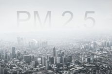 Rekomendasi Masker untuk Menangkal Bahaya PM 2.5 menurut Ahli 