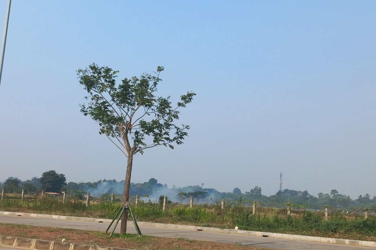 Aktivitas pembakaran jerami di lahan pertanian dekat Perumahan Lavon Swan City, Wana Kerta, Sindang Jaya, Kabupaten Tangerang pada Selasa (22/8/2023).