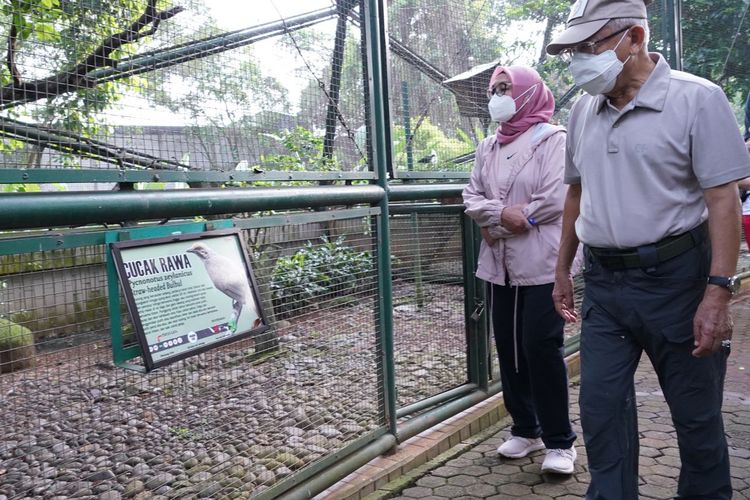 Wakil Presiden Ma'ruf Amin melakukan jalan pagi dan melihat burung di Taman Burung, Taman Mini Indonesia Indah, Jakarta, Sabtu (19/3/2022) pagi.