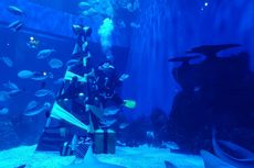 6 Aktivitas yang Bisa Dilakukan di Jakarta Aquarium Saat Libur Nataru