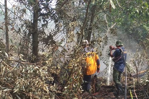 Badan Restorasi Gambut Sebut Riau dan Aceh Waspada Karhutla