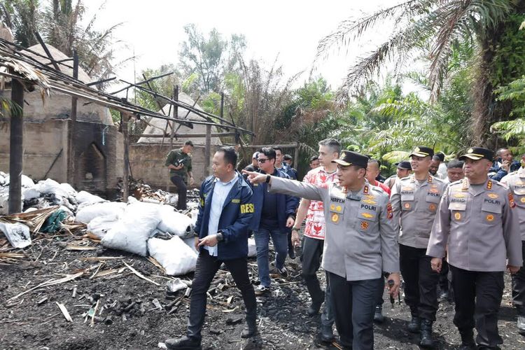 Hutan Mangrove di Riau Dirambah Jadi Arang Bakau, Hasilnya Dijual ke Malaysia
