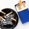 Kemenkes: Rokok Kontributor Terbesar Kasus TBC di Indonesia