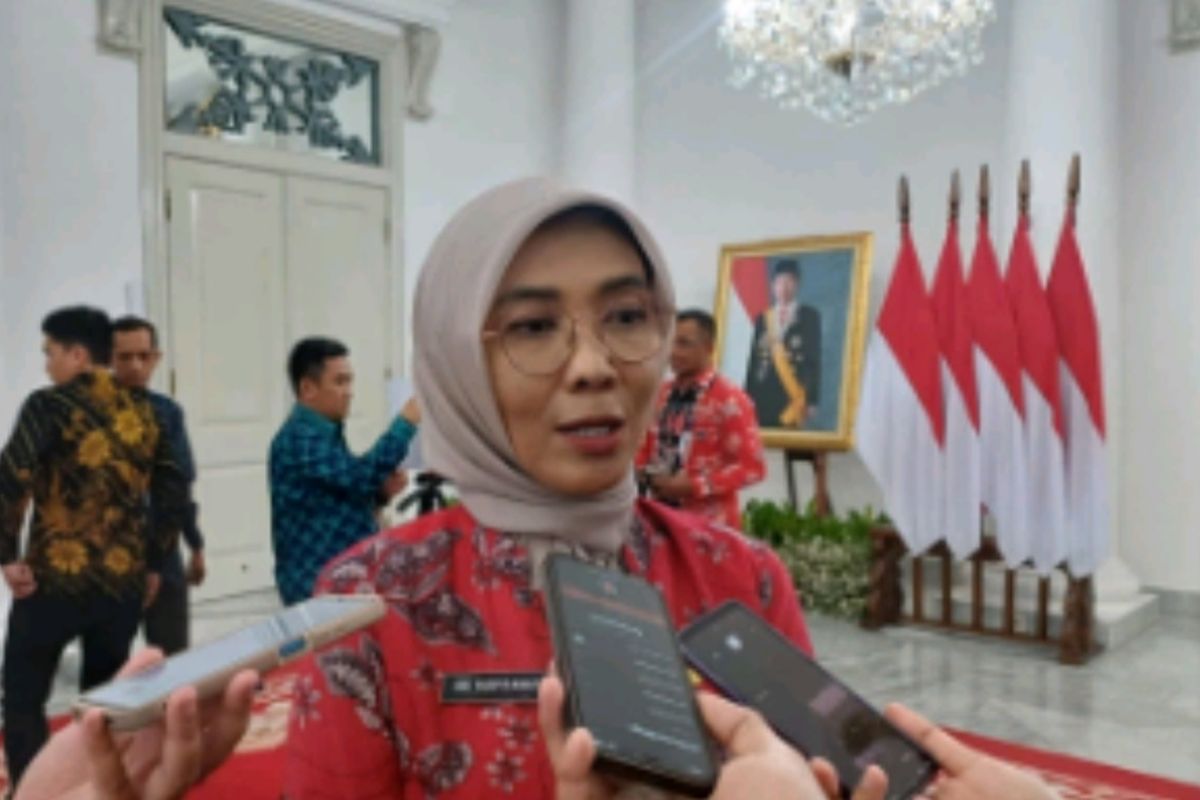 Pelaksana tugas (Plt) Kepala Dinas Kesehatan DKI Jakarta Ani Ruspitawati di Balai Kota DKI, Kamis (9/11/2023).