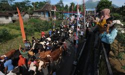 Bukan Sekadar Hijau, Kosmologi Jawa Melampaui Keberlanjutan