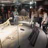 Museum Niang Komodo di NTT, Punya Koleksi 2 Rangka Komodo