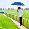 Jokowi: Harga Beras di Tingkat Petani Belum Sesuai yang Diharapkan