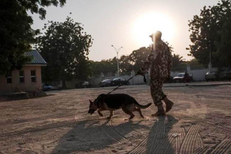 Seorang tentara Nigeria membawa seekor anjing pelacak saat berpatroli di kompleks sebuah rumah sakit di kota Maiduguri.