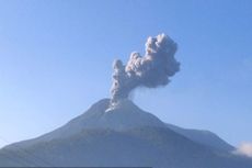 Warga Lereng Gunung Lewotobi Kesulitan Sayuran karena Tercemar Abu Vulkanik