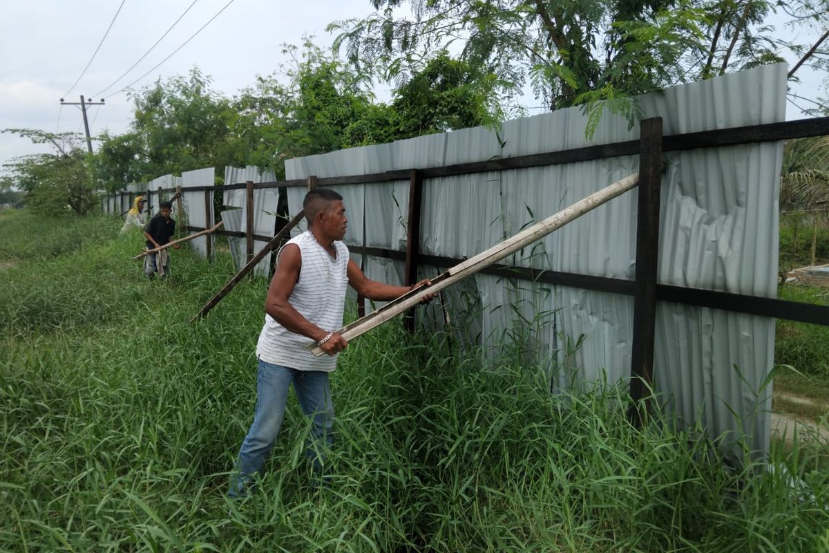 Dinas Lingkungan Hidup dan Kehutanan Sumut bersama warga membongkar pagar seng yang mengelilingi wilayah hutan lindung selebar 48 hektar di Kecamatan Pantai Labu, Kabupaten Deli Serdang, Sumatera Utara, Minggu (23/2/2025)